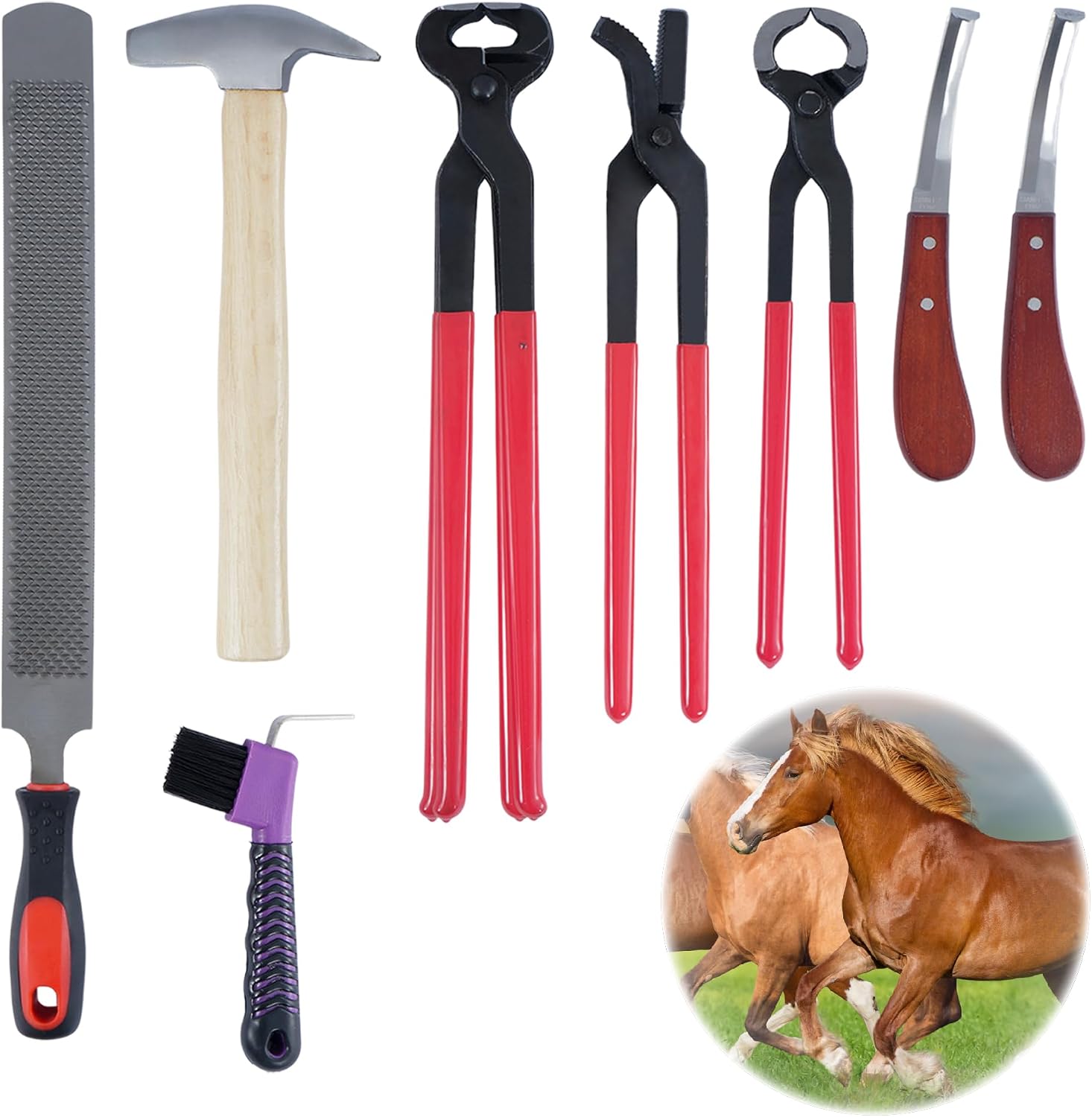 8PCS Farrier Tools Kit Horse Hoof Trimmers Set