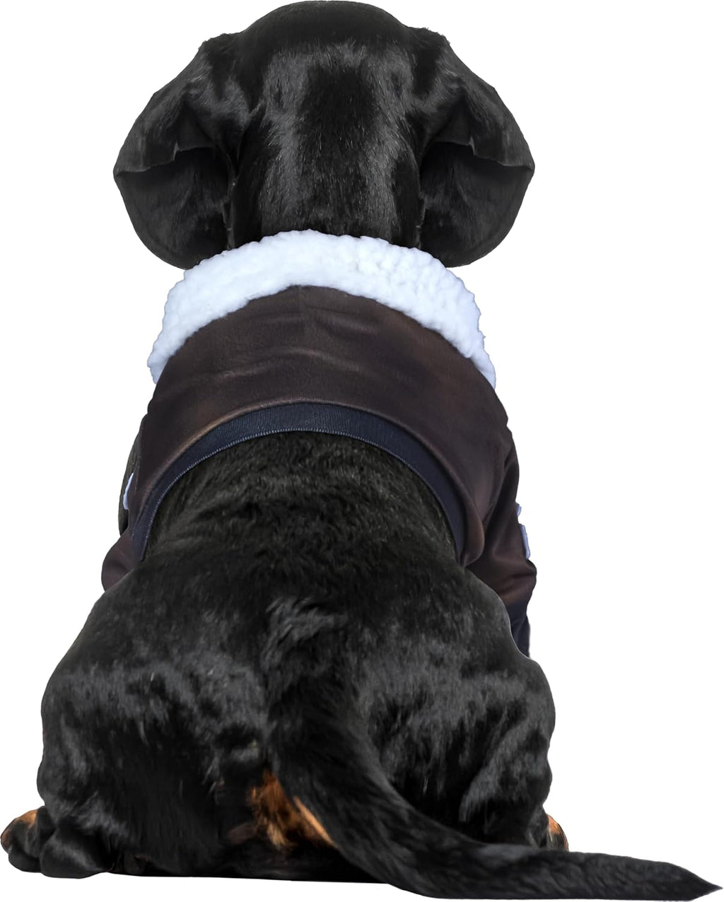 Top Gun: Maverick Pet Costume for For Dogs or Cats by Rubies, Large