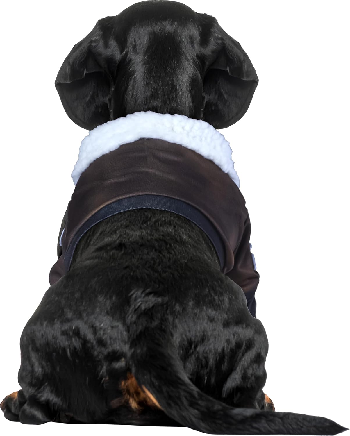 Top Gun: Maverick Pet Costume for For Dogs or Cats by Rubies, Large