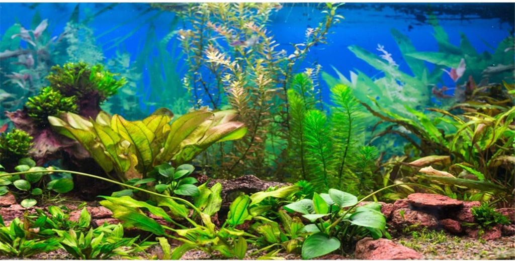 48x24 in Aquatic Plant Aquarium Backdrop Riverbed Fish Tank Background