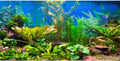 48x18 in Aquatic Plant Aquarium Backdrop Riverbed Fish Tank Background