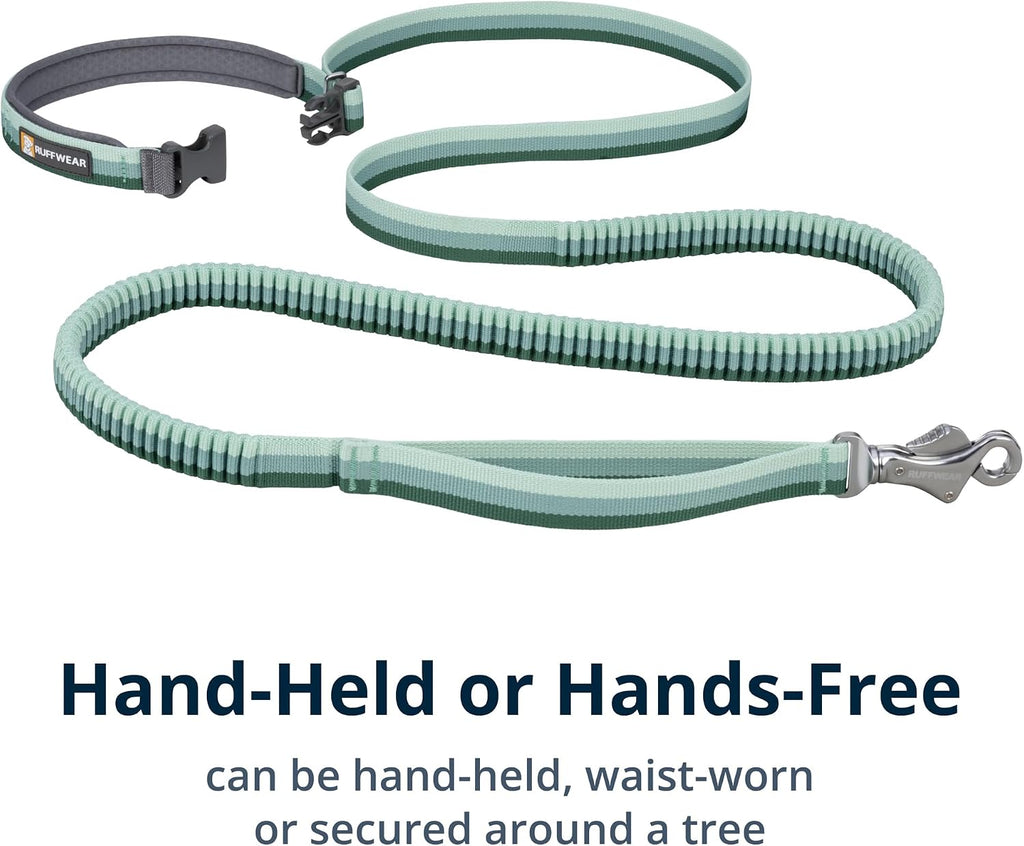Roamer Bungee Dog Leash, River Rock Green, 5.5'-7'