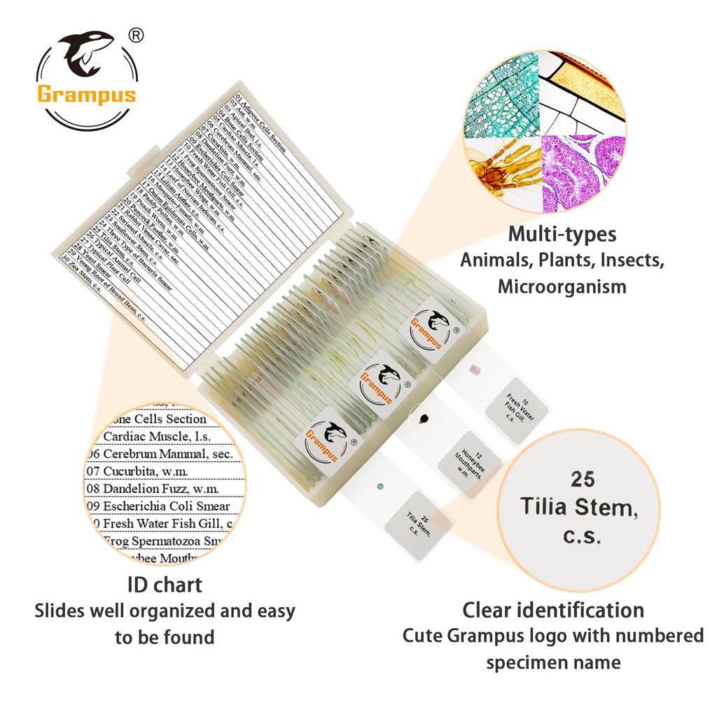 30 Prepared Microscope Slides with Specimens for Kids Students - Animals Plants Insects Microorganism, for Biological