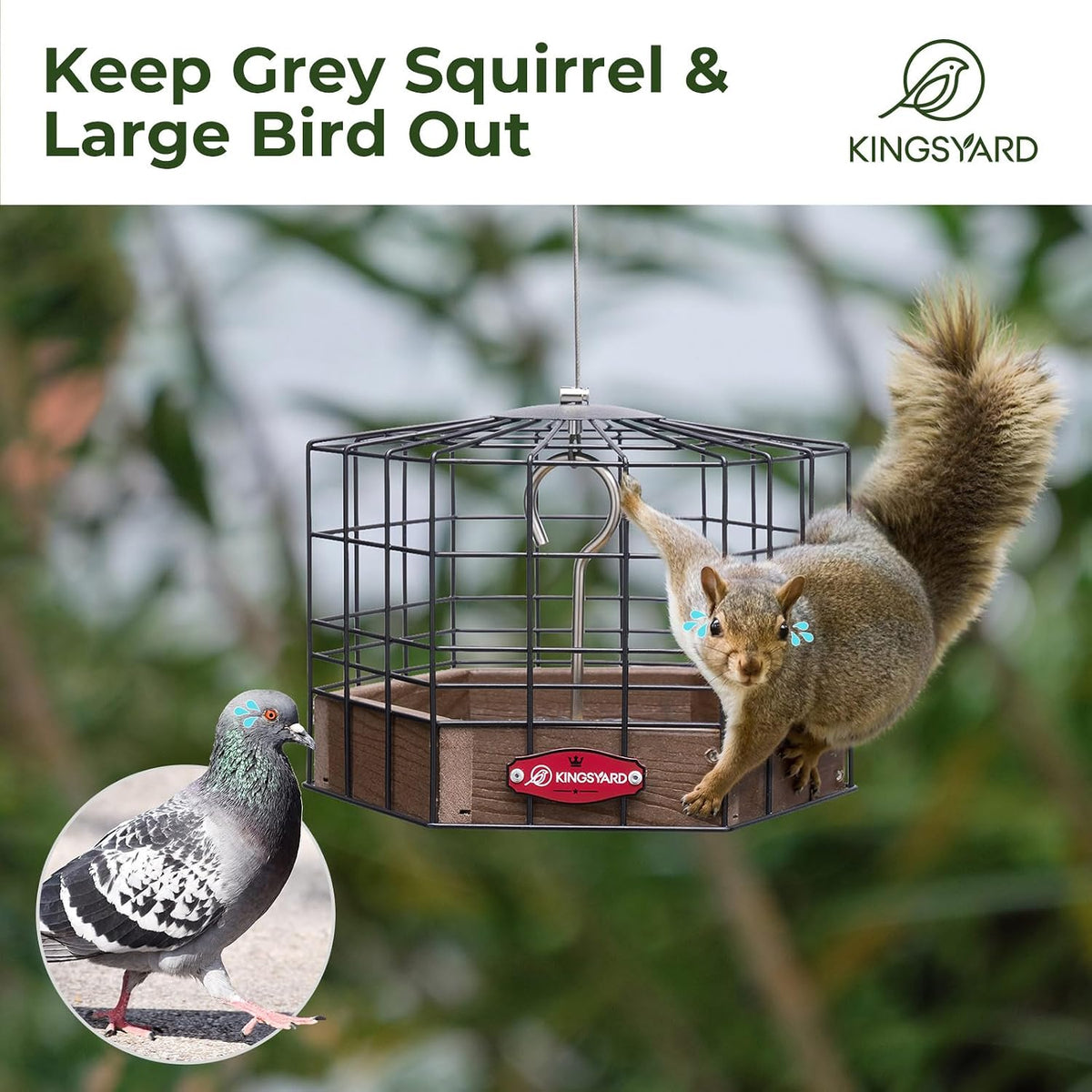 Squirrel Proof Platform Bird Feeder, Metal Mesh Tray