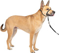 Gentle Leader No-Pull Dog Headcollar - The Ultimate Solution to Pulling - Redirects Your Dog's Pulling for Easier
