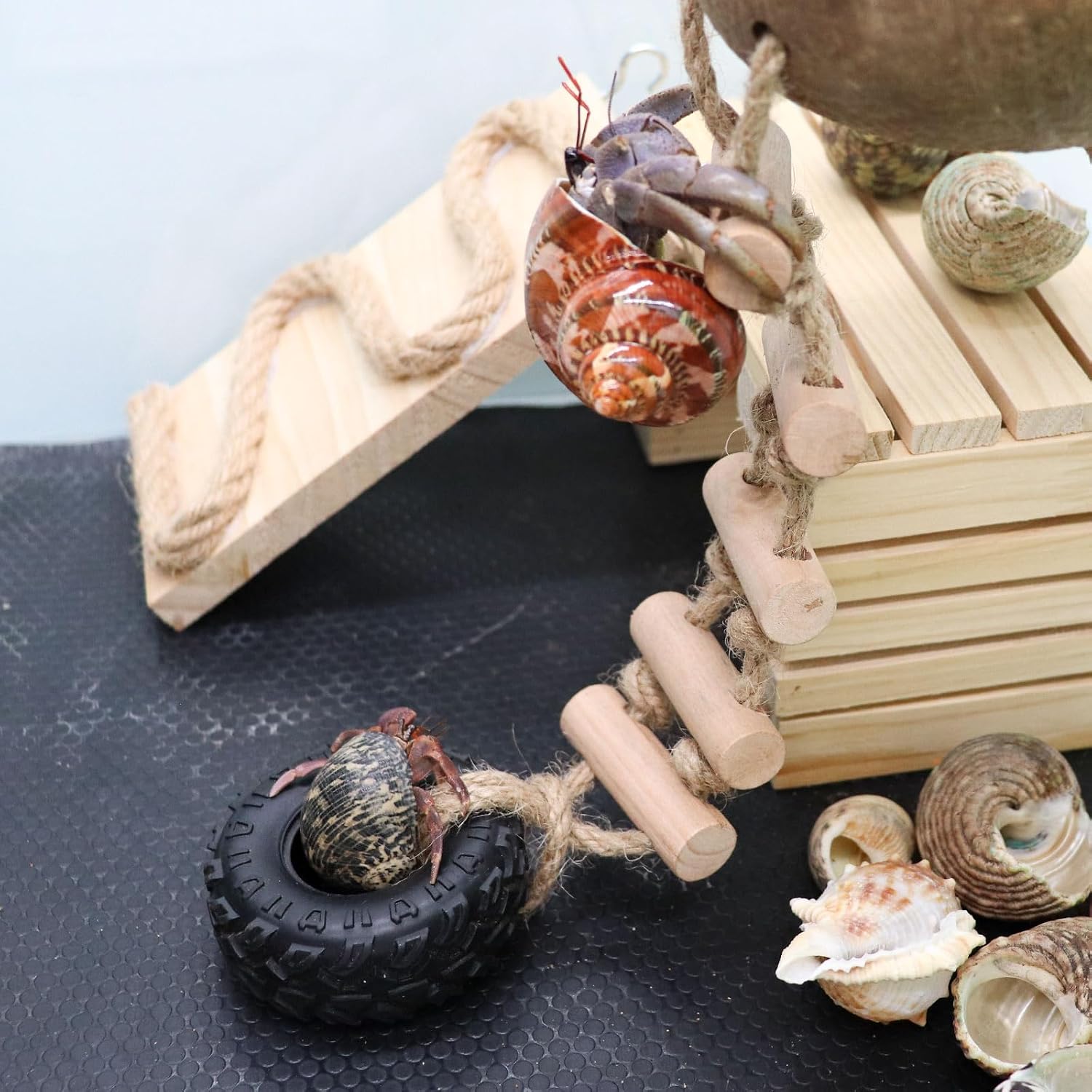 Hermit Crab Climbing Toy, Natural Coconut Reptile Hideout with Ladder, Hanging Coconut Reptile House, Cage or Tank