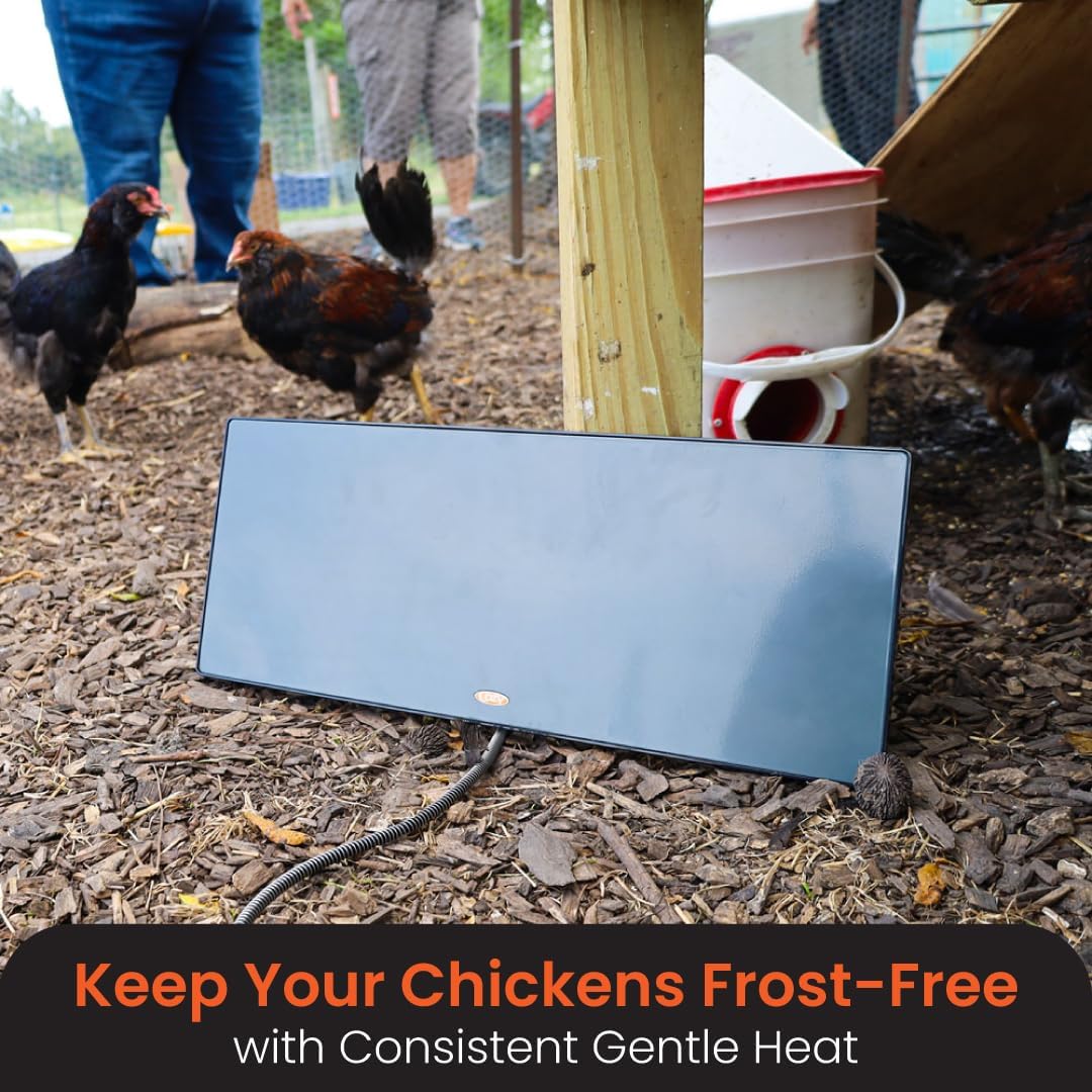 Cozy Coop Chicken Coop Heater, Flat-Panel, 150 Watts
