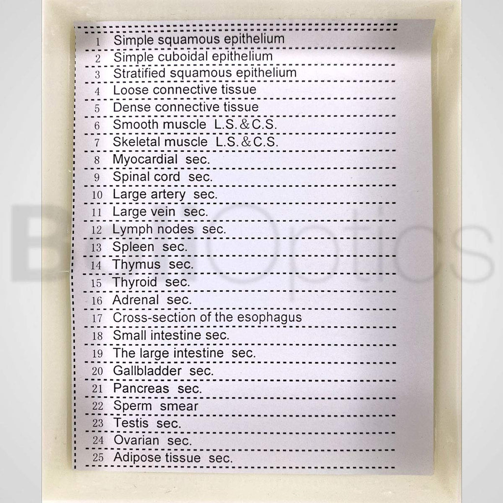 25 Prepared Microscope Slides Human Biology Specimen Set Human Anatomy Organ Tissue Cells for Students Hobbyists