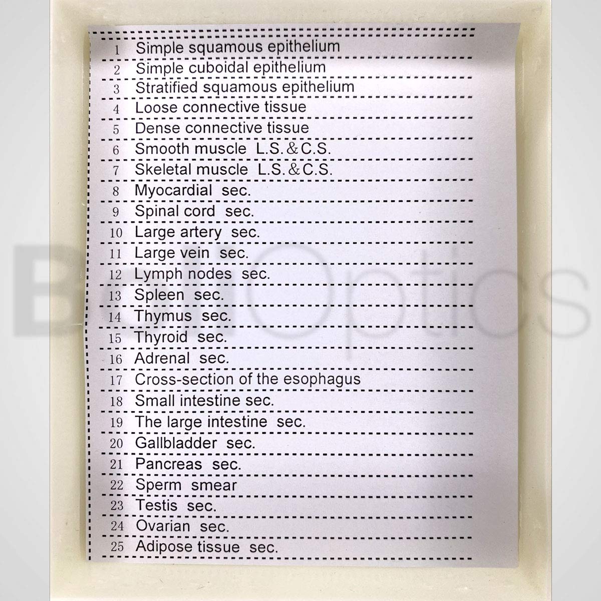 25 Prepared Microscope Slides Human Biology Specimen Set Human Anatomy Organ Tissue Cells for Students Hobbyists
