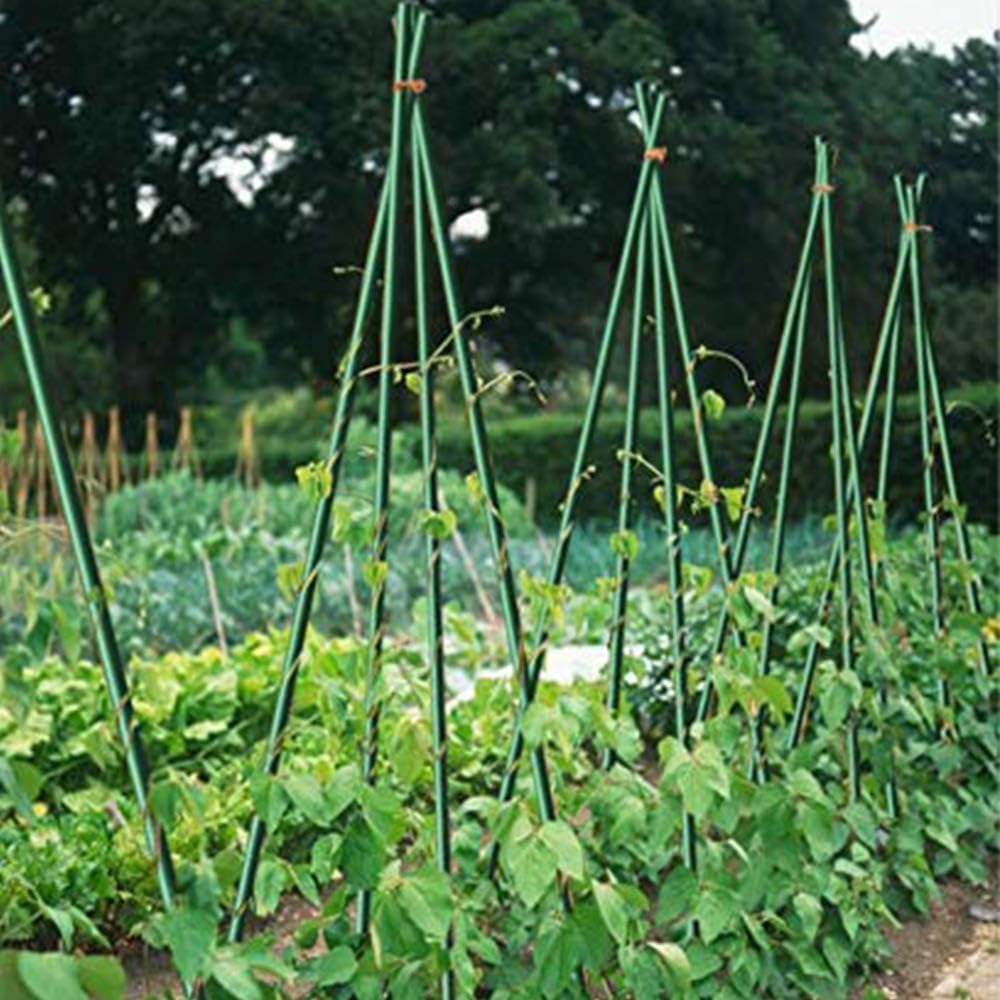 6ft 50 Pack Tomato Stakes Plant Stake Supports Garden Fences Trellis Metal Plastic Coated Plant Cage Supports Climbing