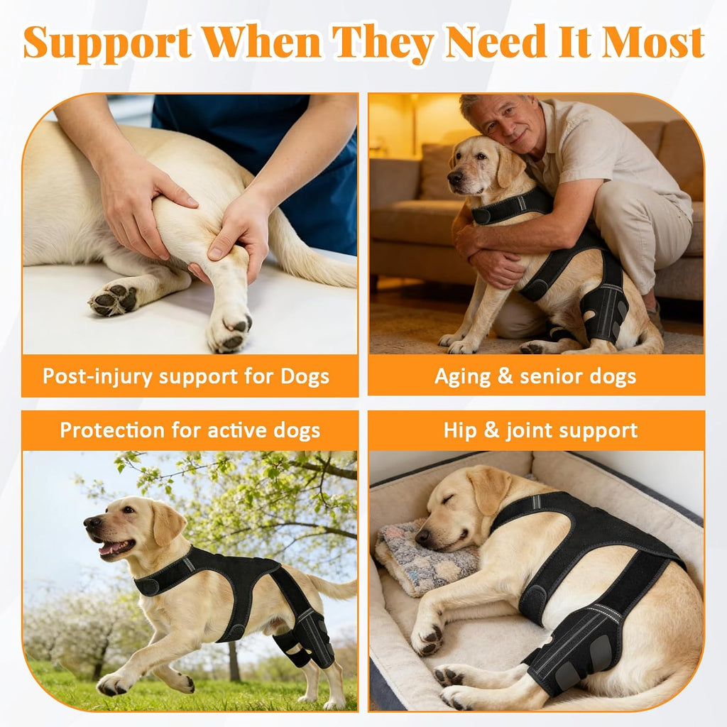 Dog Knee Braces for Back Leg,Knee Support for Dogs ACL/CCL Care Ideal for Dog Back Legs, Dog Leg Brace with Vest for