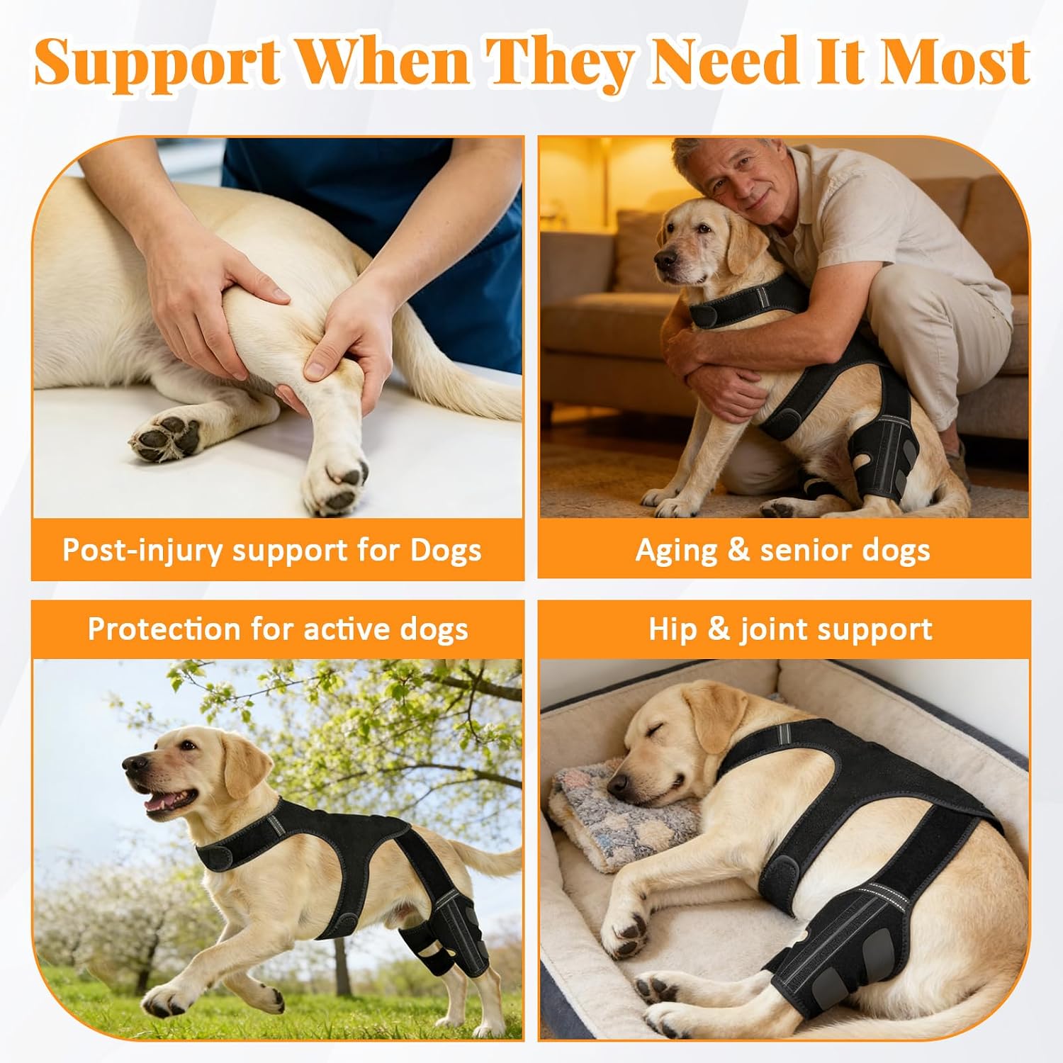 Dog Knee Braces for Back Leg,Knee Support for Dogs ACL/CCL Care Ideal for Dog Back Legs, Dog Leg Brace with Vest for