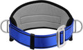 Trsmima Safety Climbing Harness Belt - Positioning Climbing Belt with Waist Pad and 2 D Rings, Personal Portable
