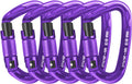 UIAA Certified Professional Heavy Duty Large Locking Carabiner Clips Climbing Carabiner 25kN Auto Locking Carabiner