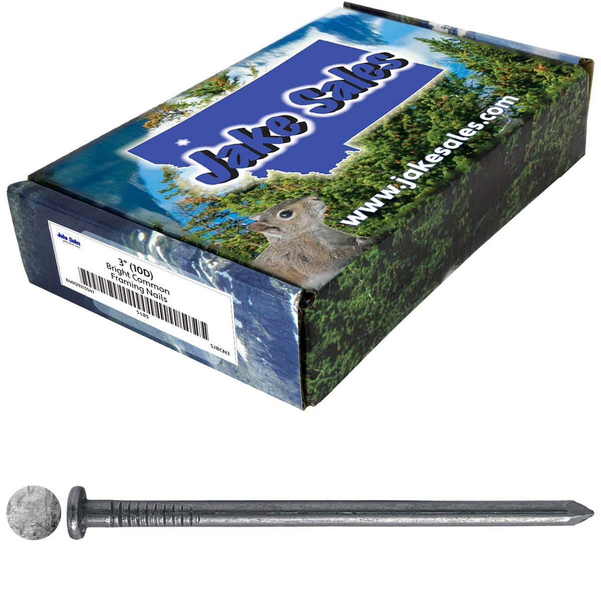 3" (10d) Common Framing Nail 2745-Ct