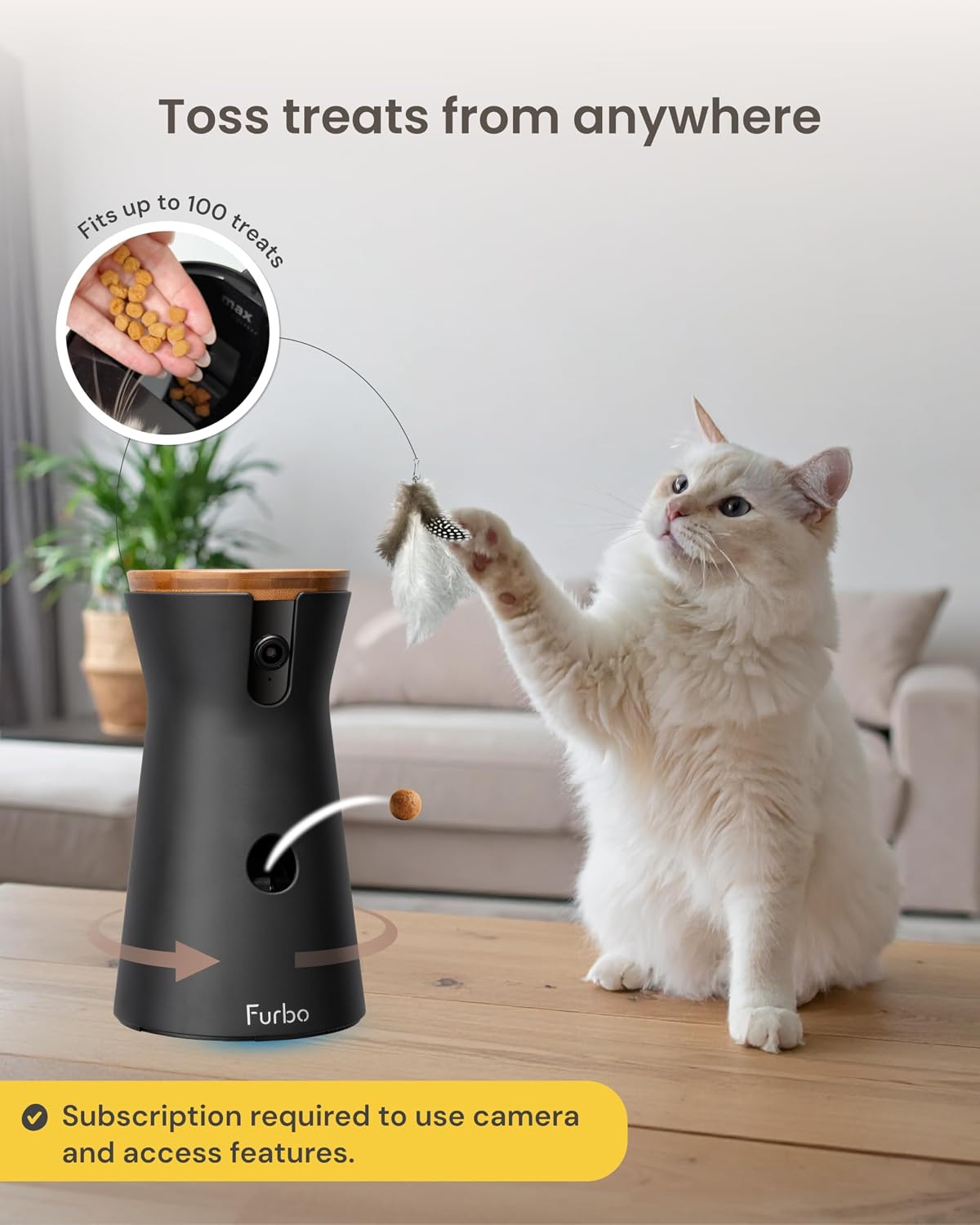 360° Cat Camera [Paid Plan Required to Activate]