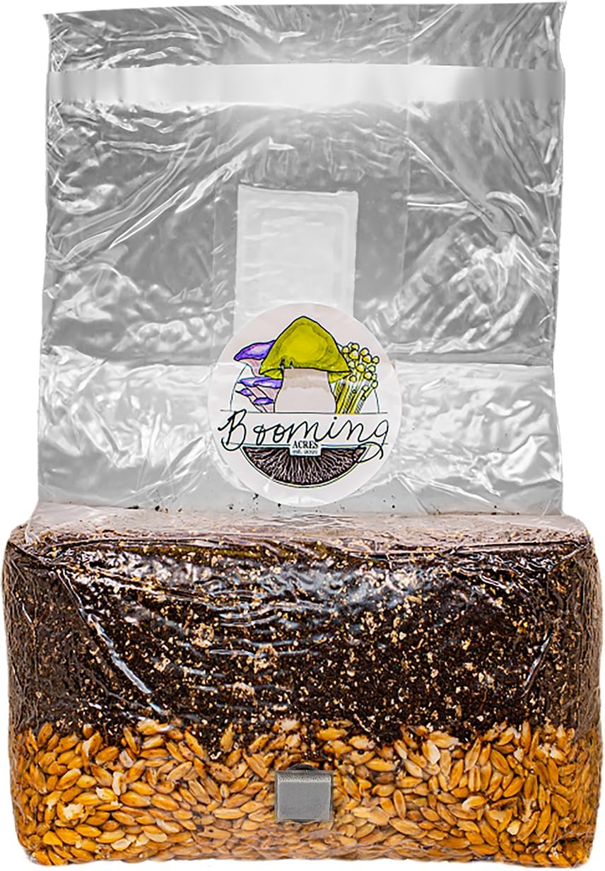 The Magical 5lb All-in-One Mushroom Grow Bag | Mushroom Grow Kit | Harvest Your own Happiness | Discover the Magic of
