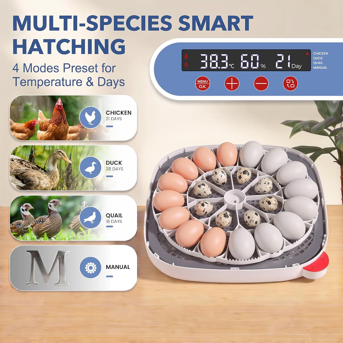 24 Eggs Incubator, 4 Modes, Temp Control & Humidity Display, Azure