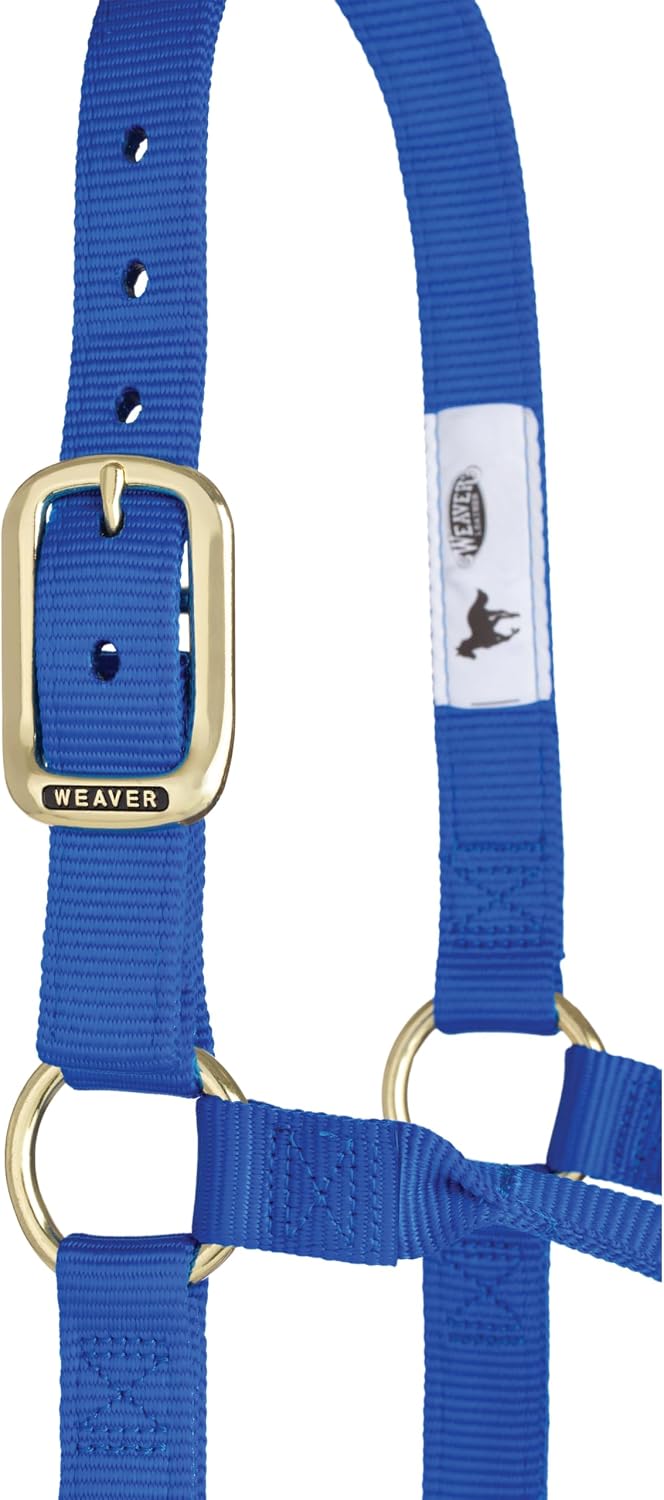 Weaver Leather Original Non-Adjustable Nylon Horse Halter