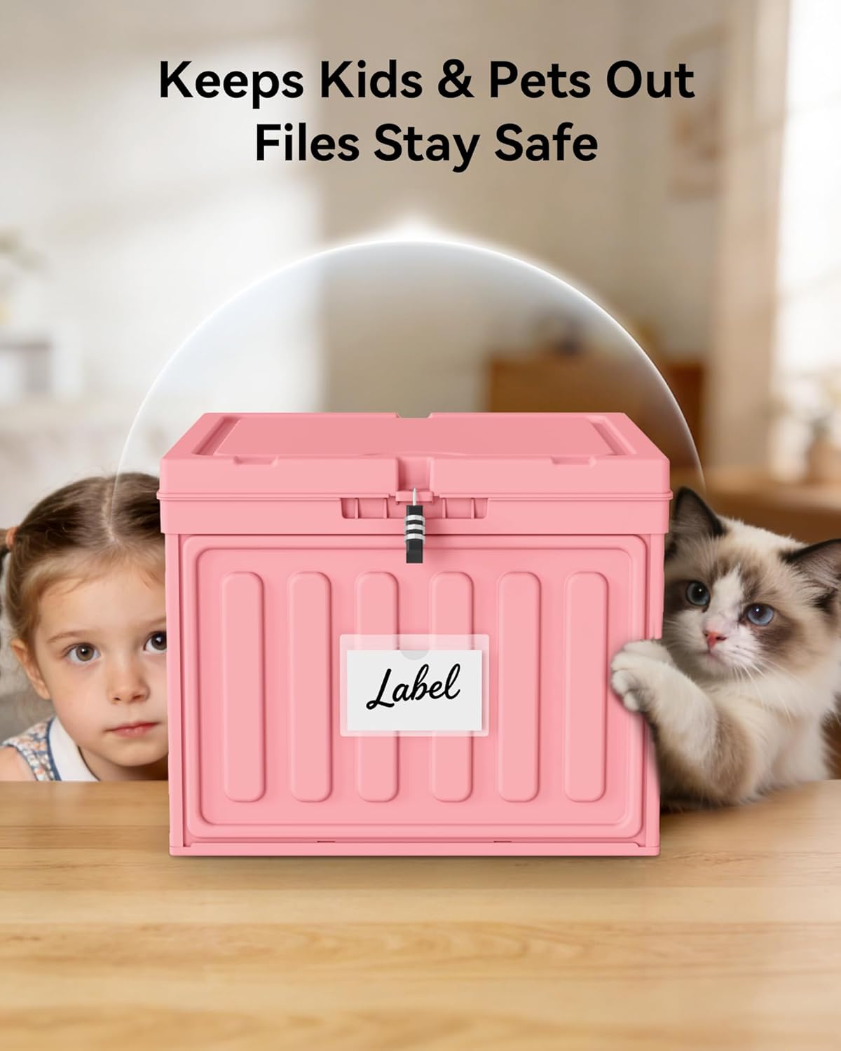 Plastic File Box with Lid for Letter Size Hanging File Folders, Hanging File Folder Box for Home, Office, School