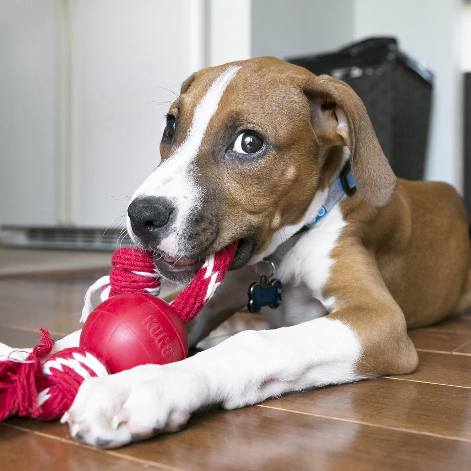 Ball with Rope - Durable Fetch Toy with Rope for Easy Throwing - For Tug, Playtime & More - Natural Rubber - Red