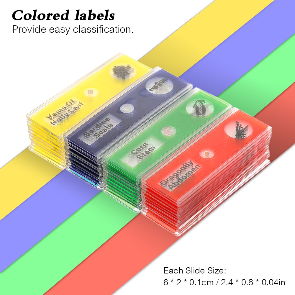 Prepared Microscope Slides, 48pcs Plastic Animals Insects Plants Flowers Sample Specimens