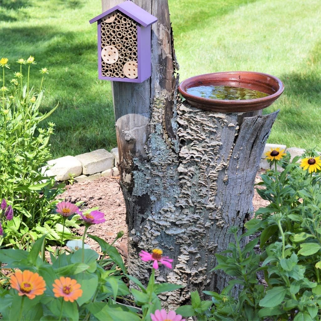 Bird Products PWH1-B Purple Bee House