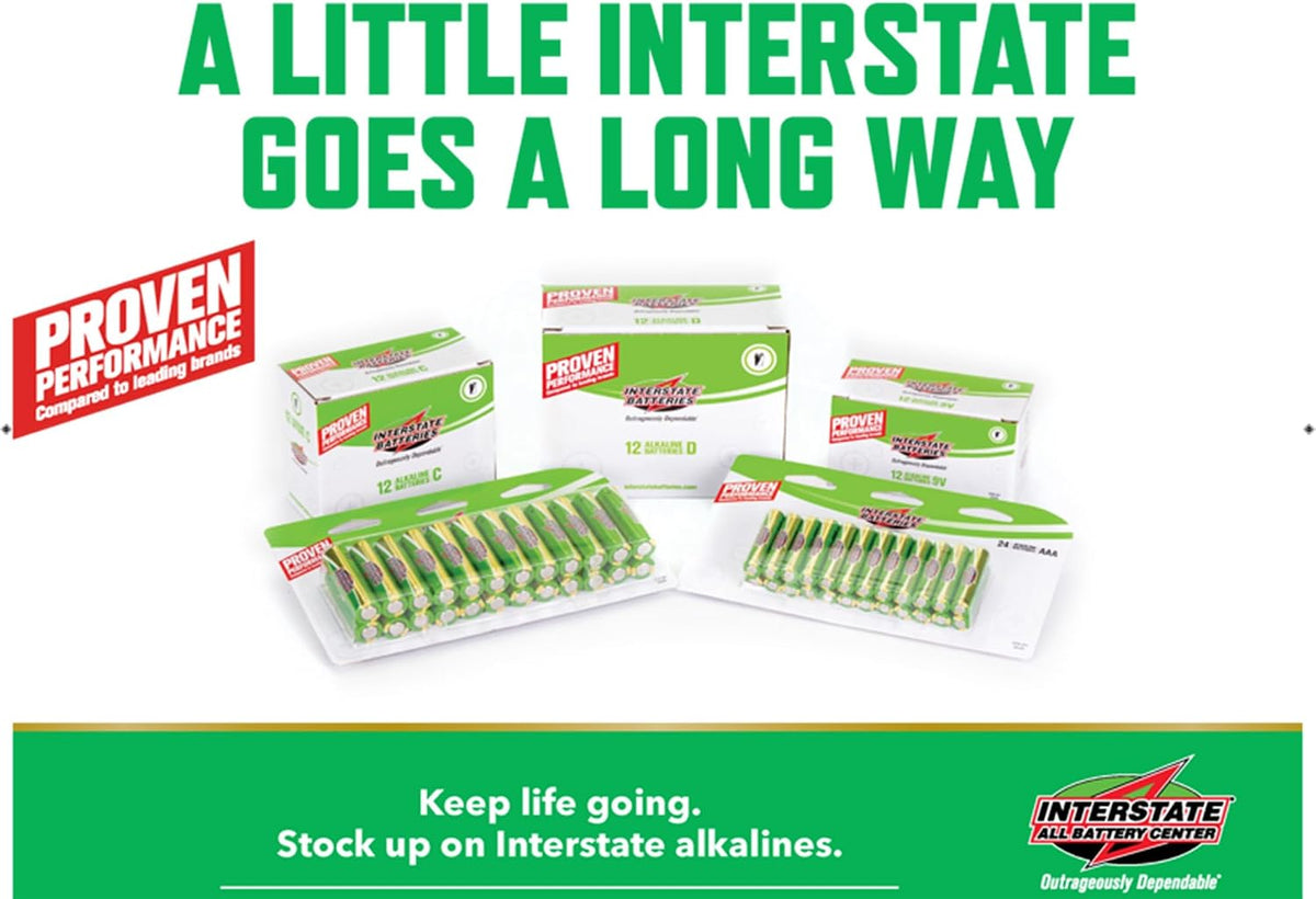 9 Volt Alkaline Batteries (12-Pack) 9V