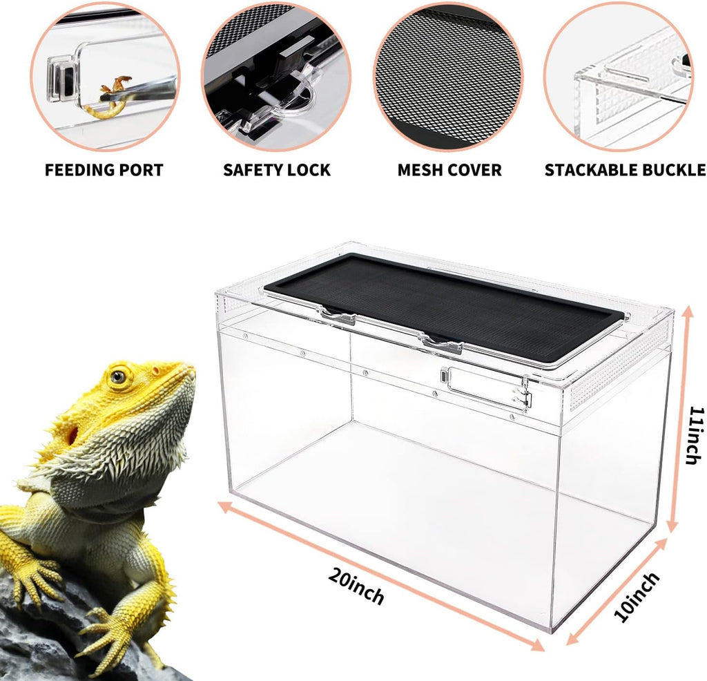 Reptile Terrarium,10 Gallon Reptile Tank 20" x 10"x 11",for Insect，Fish，Tarantula，Hermit Crab，Jumping