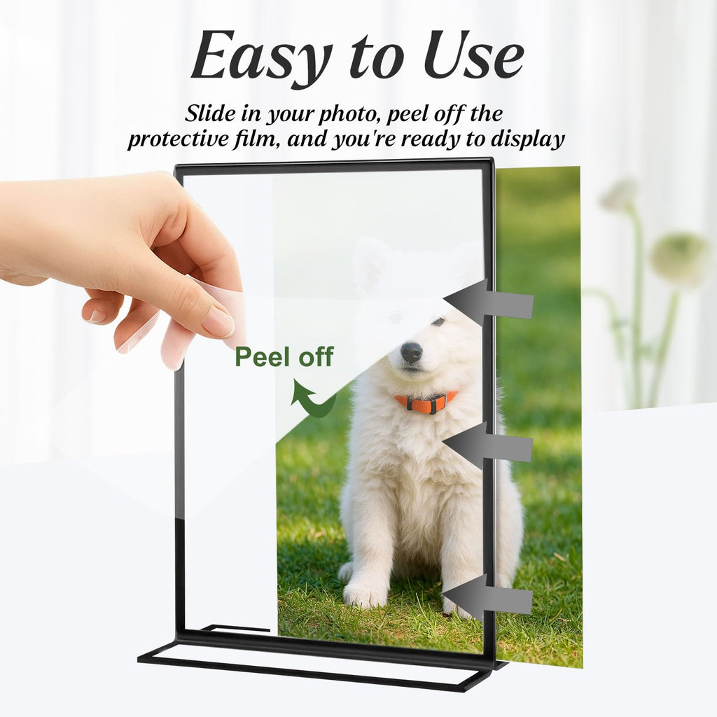 10 Pack Acrylic Sign Holders 4x6 Black Picture Frames