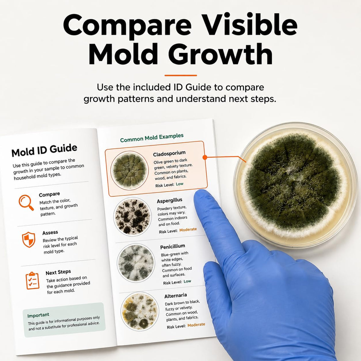 Mold Test Kit for Home Air Quality | Air Quality Test Kit & Black Mold Detector for Home | 6-Petri-Dish Indoor
