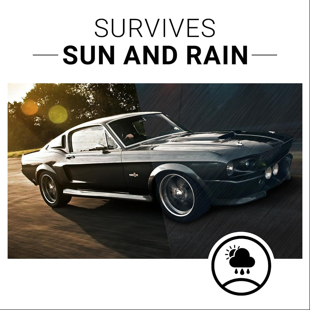 Plastic Restorer | Bring Plastic, Rubber, and Vinyl Back to Life! | User-Friendly Trim Restorer | Safe Auto Detailing