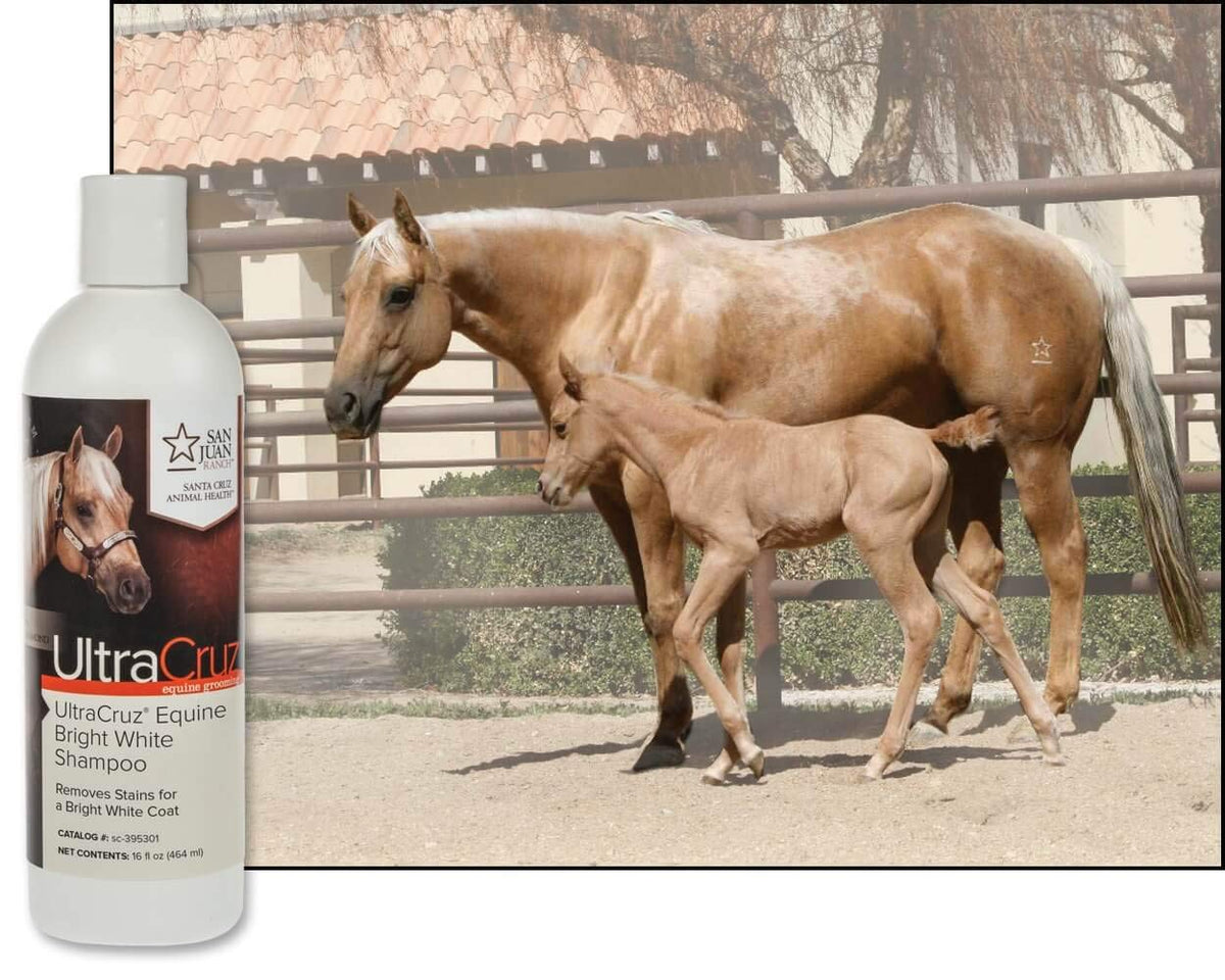 sc-395301 Equine Bright White Horse Shampoo, 16 oz,Purple
