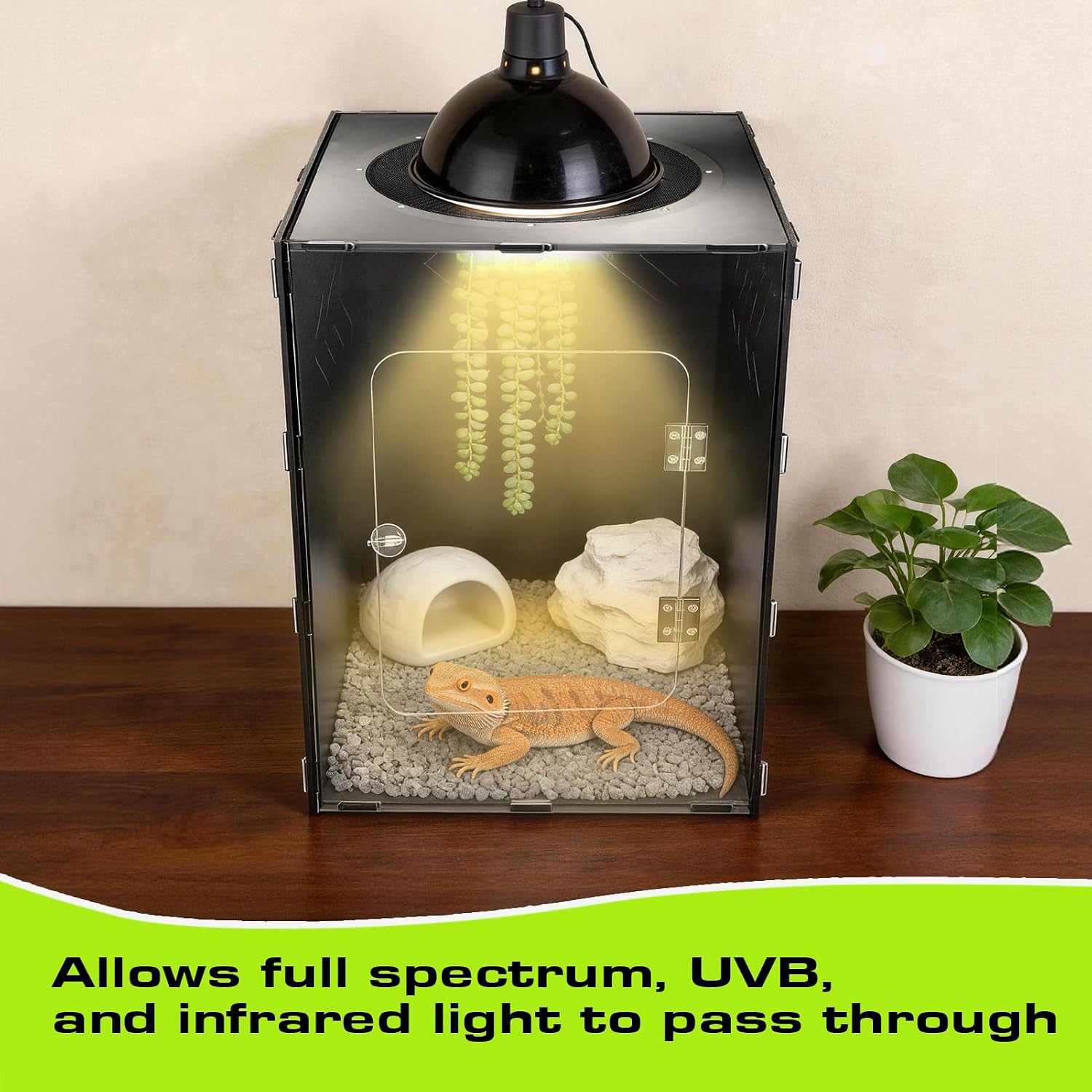 Reptile Tank Enclosure, Reptile Terrarium Acrylic Front Opening with Metal Translucent Mesh Top for Crested Gecko