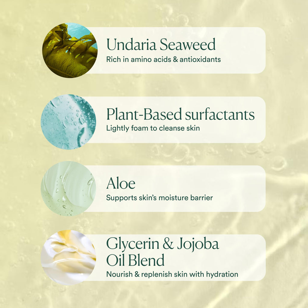 Undaria Algae Body Wash, pH Balanced Cleanser, Citrus Scent, 8 oz