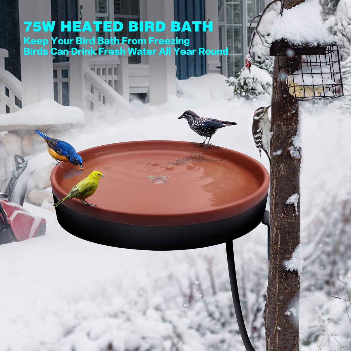 Heated Bird Bath for Outdoors for Winter, 3 Easy Ways to Mount Detachable Bird Bath Bowl, 75W Heated Bird Baths with