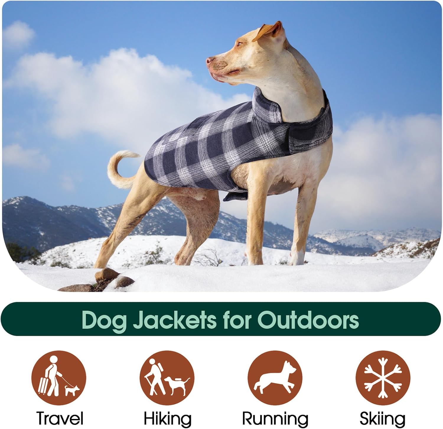 Dog Winter Coat, Reversible Dog Jacket, Warm Doggie Coat British Style Puppy Cold Weather Vest, Windproof Pet Clothes