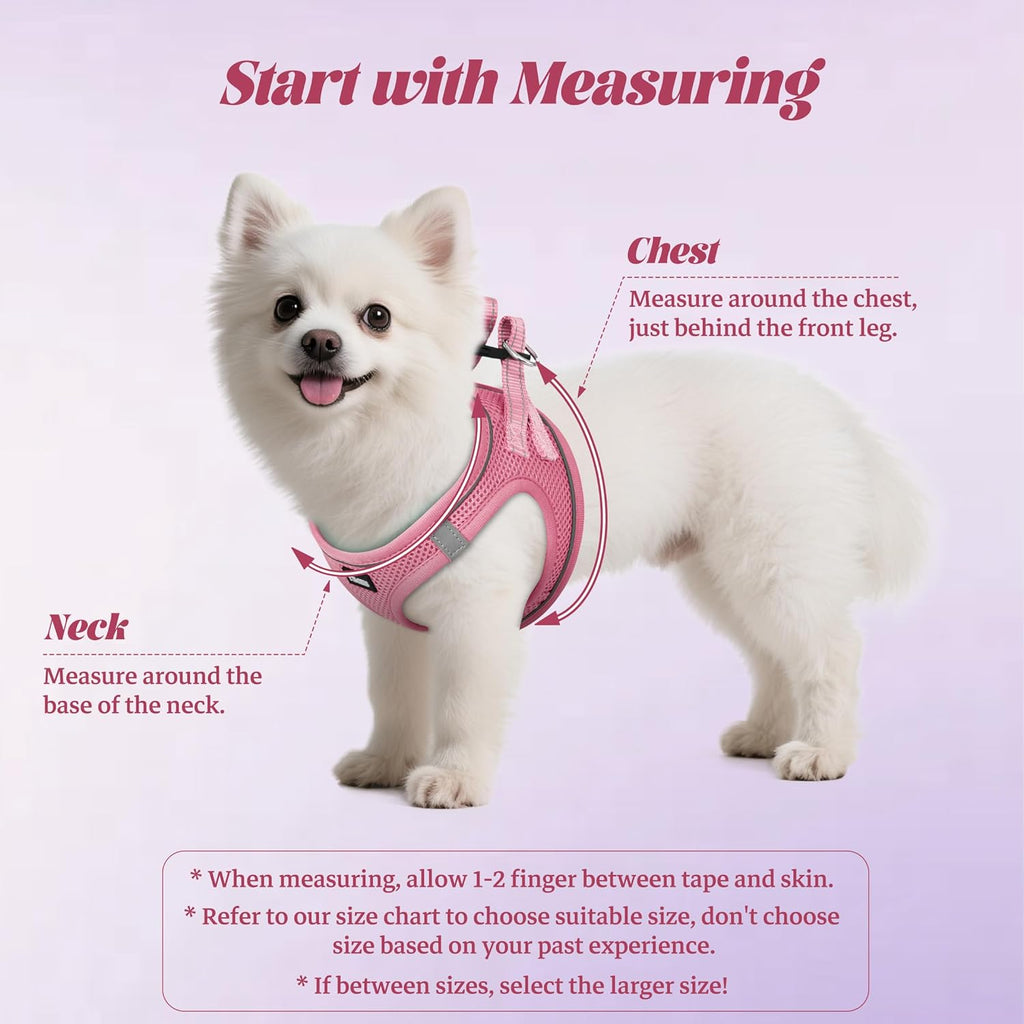 Dog Harness and Leash Set, No Pull Soft Mesh Pet Harness, Reflective Adjustable Puppy Vest for Small Medium Large