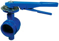Dixon GIBFV600 Iron Grooved Butterfly Valve with EPDM Seals, 6"