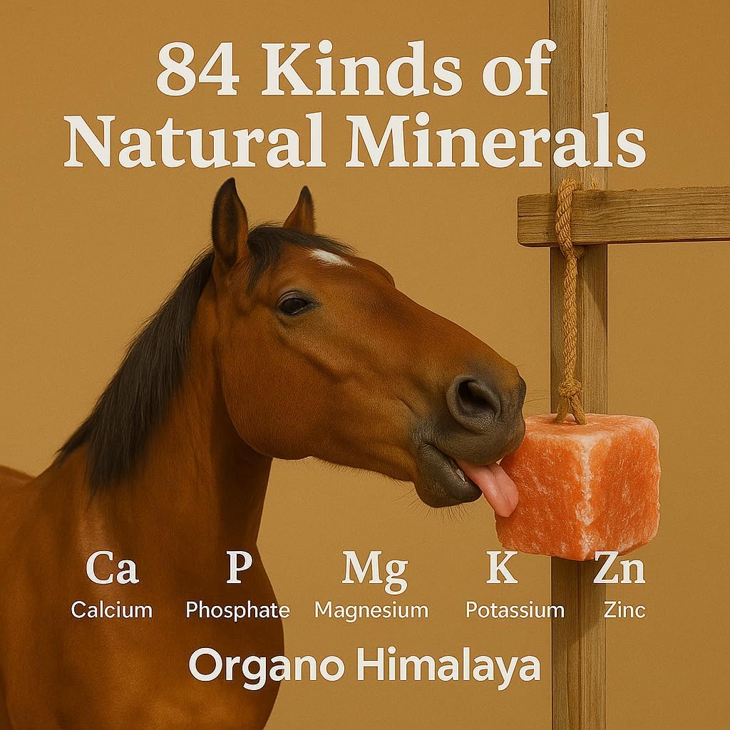 Himalayan Salt Lick On Rope 3.5-4 lb Each (Pack of 3) for Horses, Deer, Goats & Livestock | Natural, Mineral-Rich