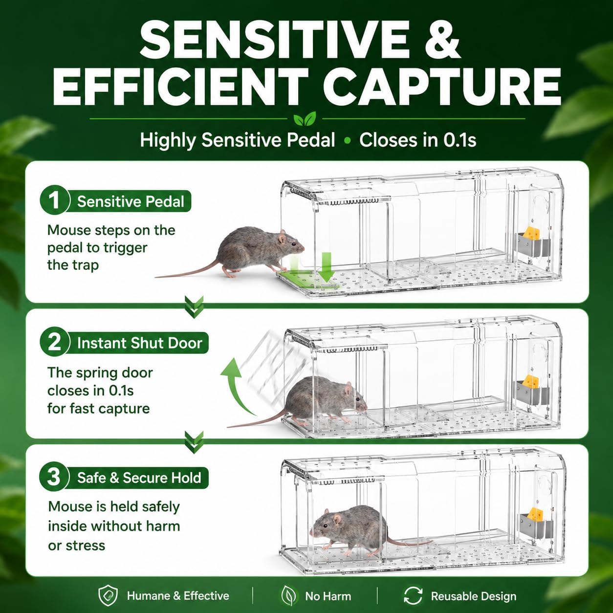 Humane Mouse Traps Indoor Outdoors for Home | Live Mouse Traps Catch and Release, No Kill Mice Traps, Reusable