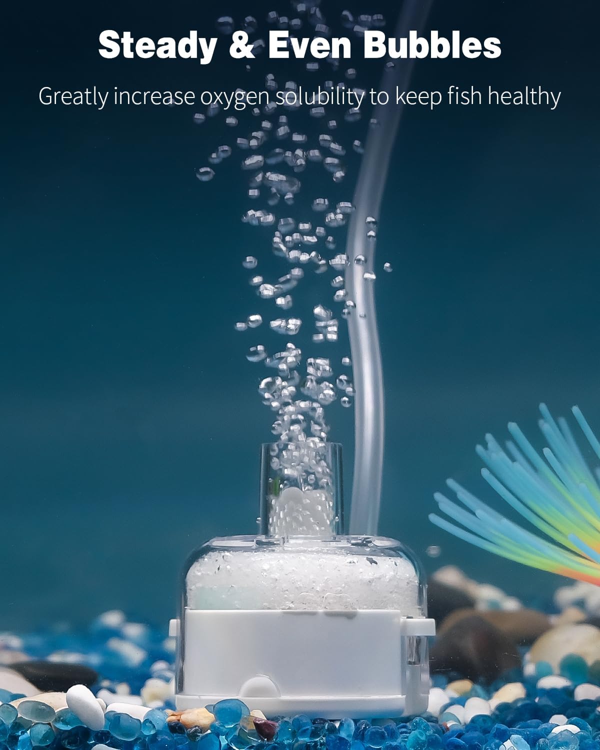 Mini Aquarium Sponge Filter, Small Fish Tank Internal Filter with Foam and Air Stone Submersible Bio Sponge Filter