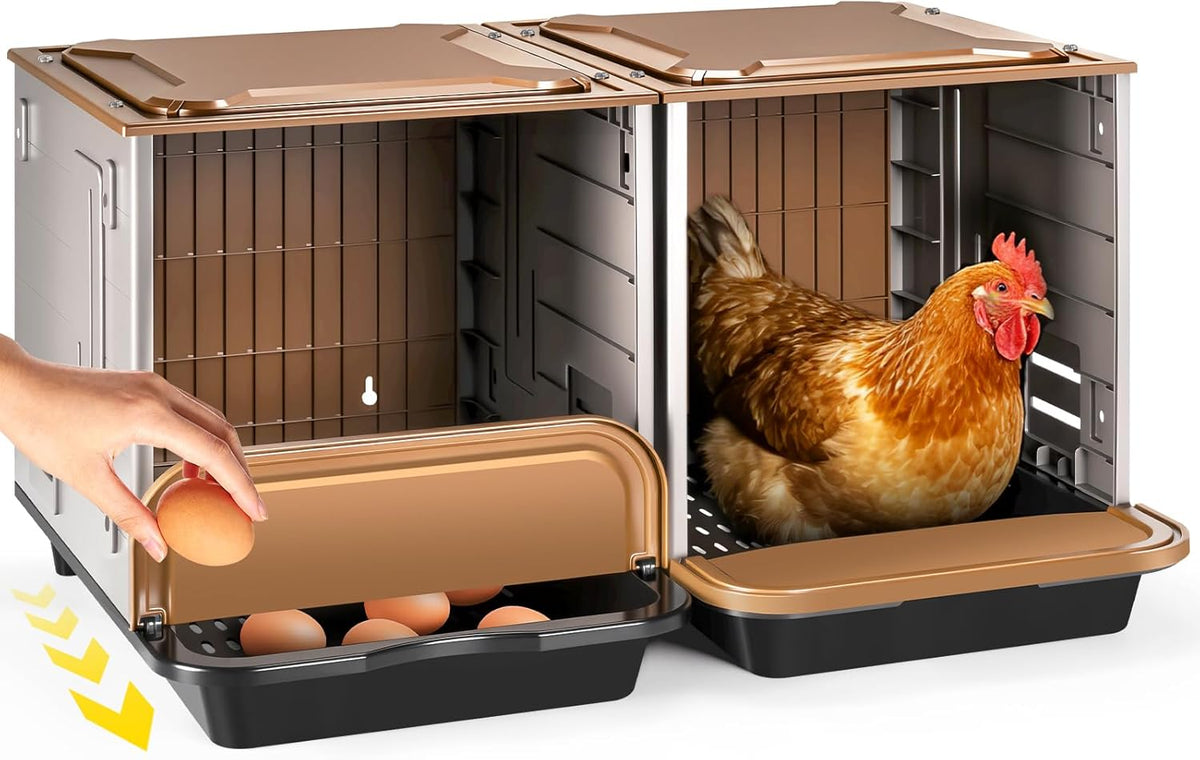 Chicken Nesting Box, 2 Compartment Nesting Boxes for Chickens, Large Chicken Laying Boxes for Egg Collection & Hen on