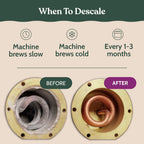 Roobi Breville Compatible Descaling Solution, 2 Pack