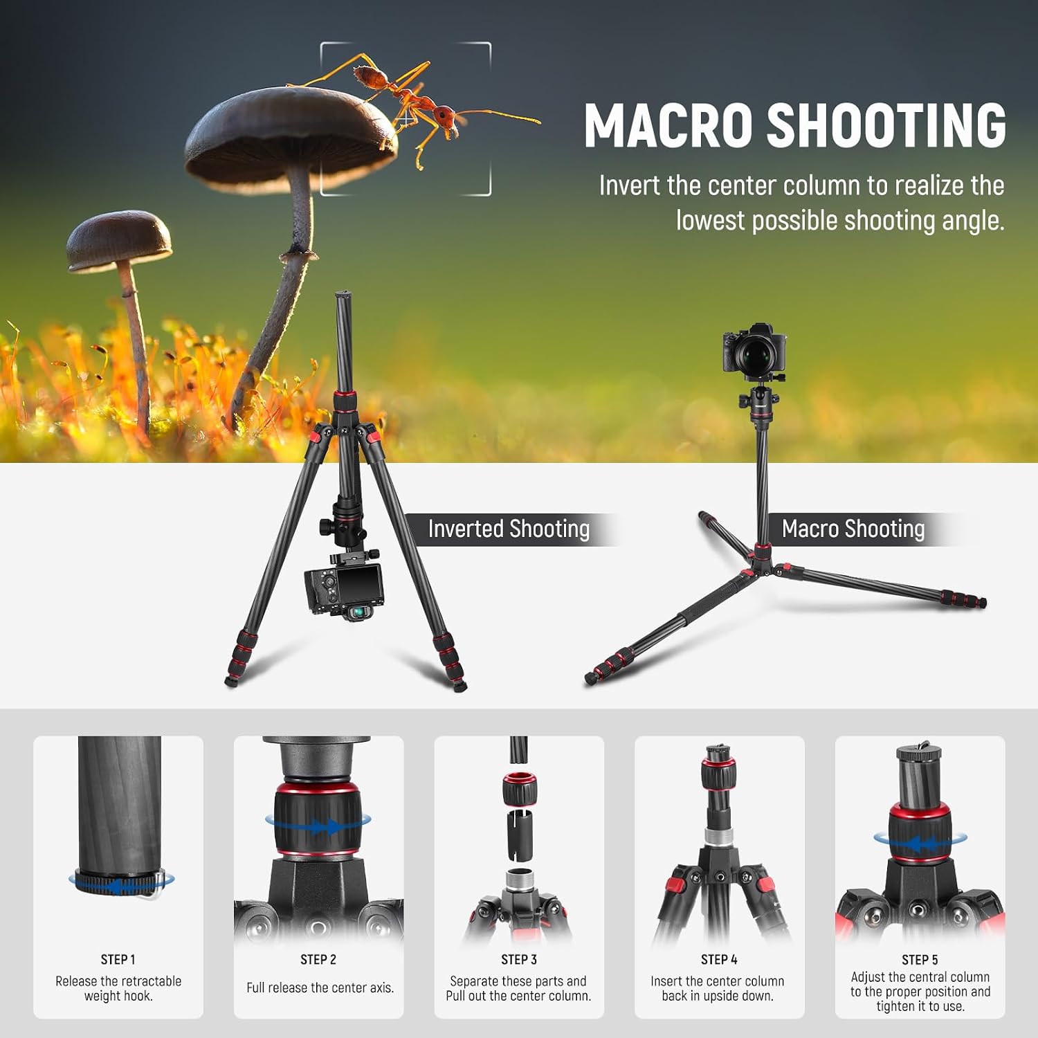 66"/168cm Carbon Fiber Camera Tripod with 360° Ball Head, N55C | Panorama, 1/4" Arca QR Plate, Portable Bag, Compact