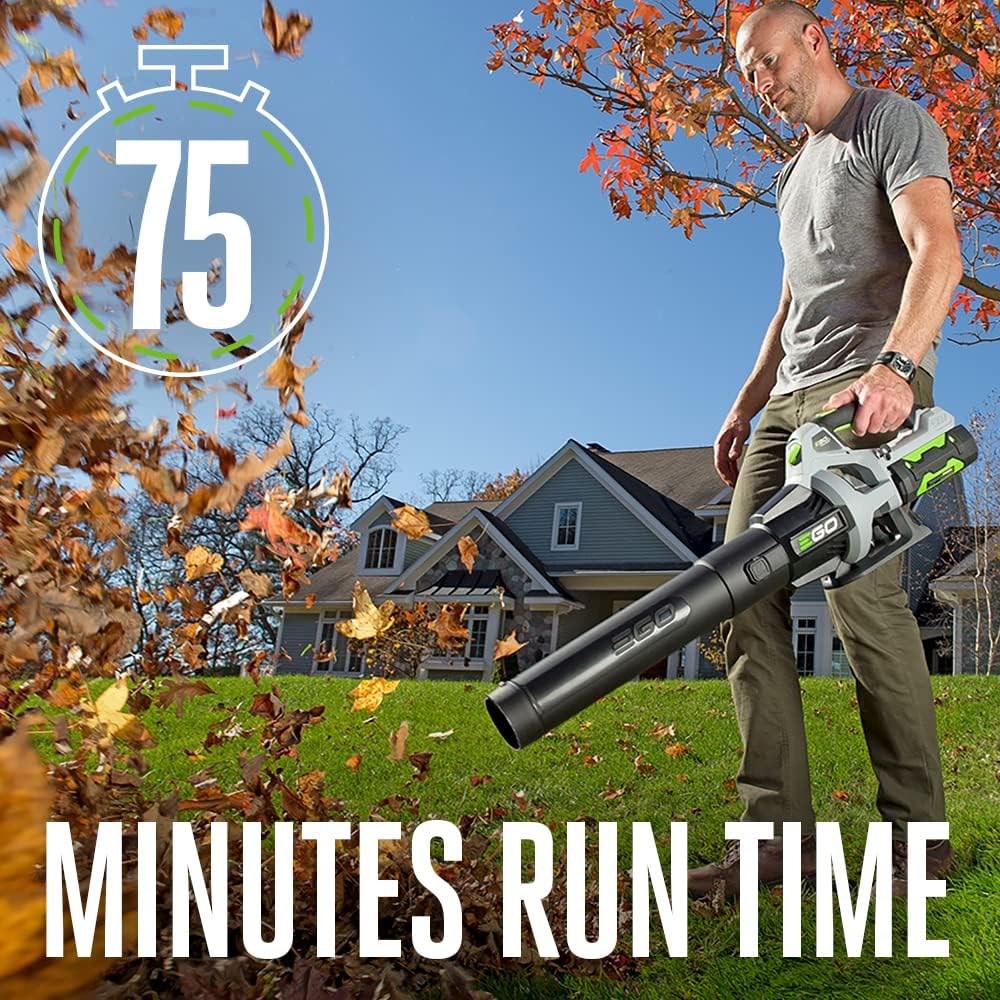 Cordless Electric Leaf Blower, 530 CFM, With Battery - LB5302
