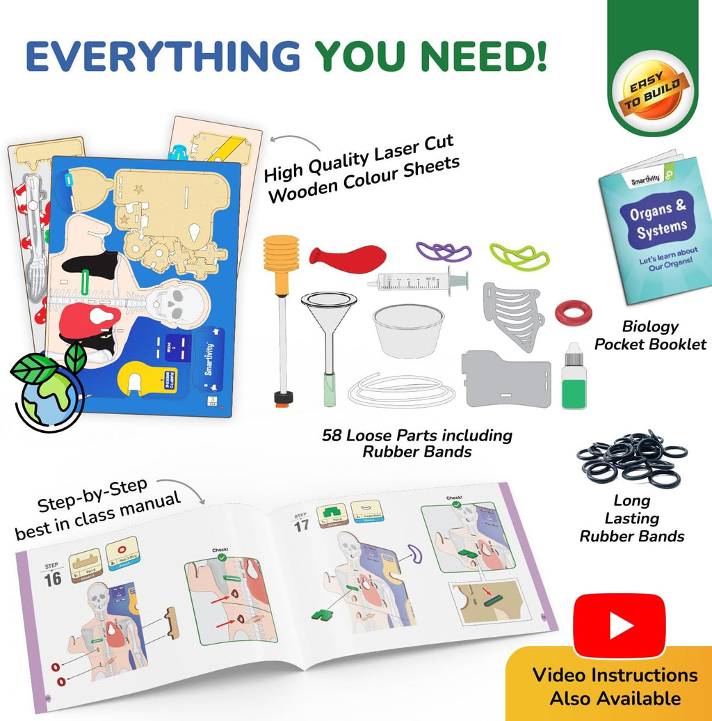 Interactive Human Body Model for Kids 8-14 Years I Dynamic Body Parts & Organs + Learning Booklet | Birthday Gift for