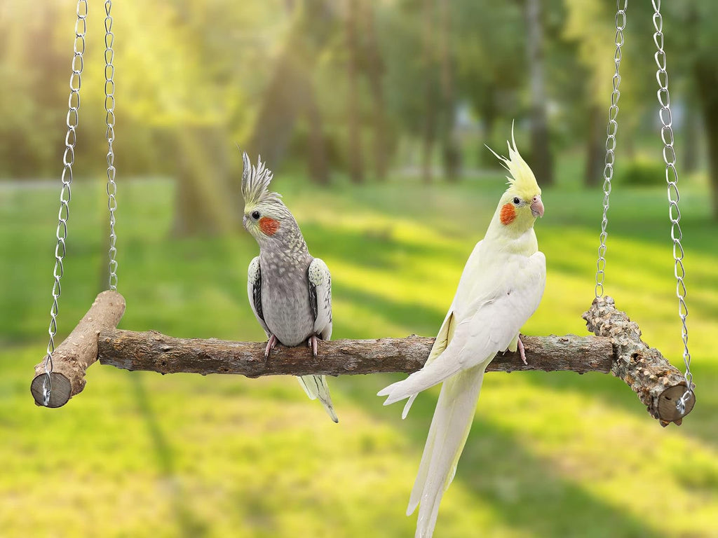 Large Bird Perch Swing Toy, Natural Pepper Wood Parrot Perch Stand Toy, Hangable Birdcage Accessories with Stainless