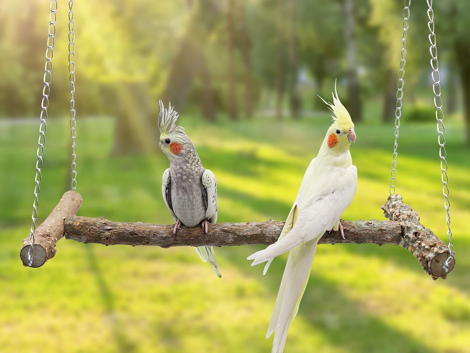 Large Bird Perch Swing Toy, Natural Pepper Wood Parrot Perch Stand Toy, Hangable Birdcage Accessories with Stainless