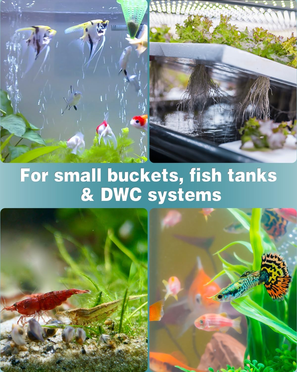 Aquarium 0.8 Inch Air Stone Ball Bubble Diffuser Release Tool for Nano Air Pumps Small Buckets and Fish Tanks, 10 Pack